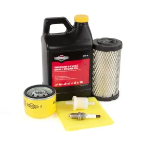 Briggs and Stratton 5135B Maintenance Kit