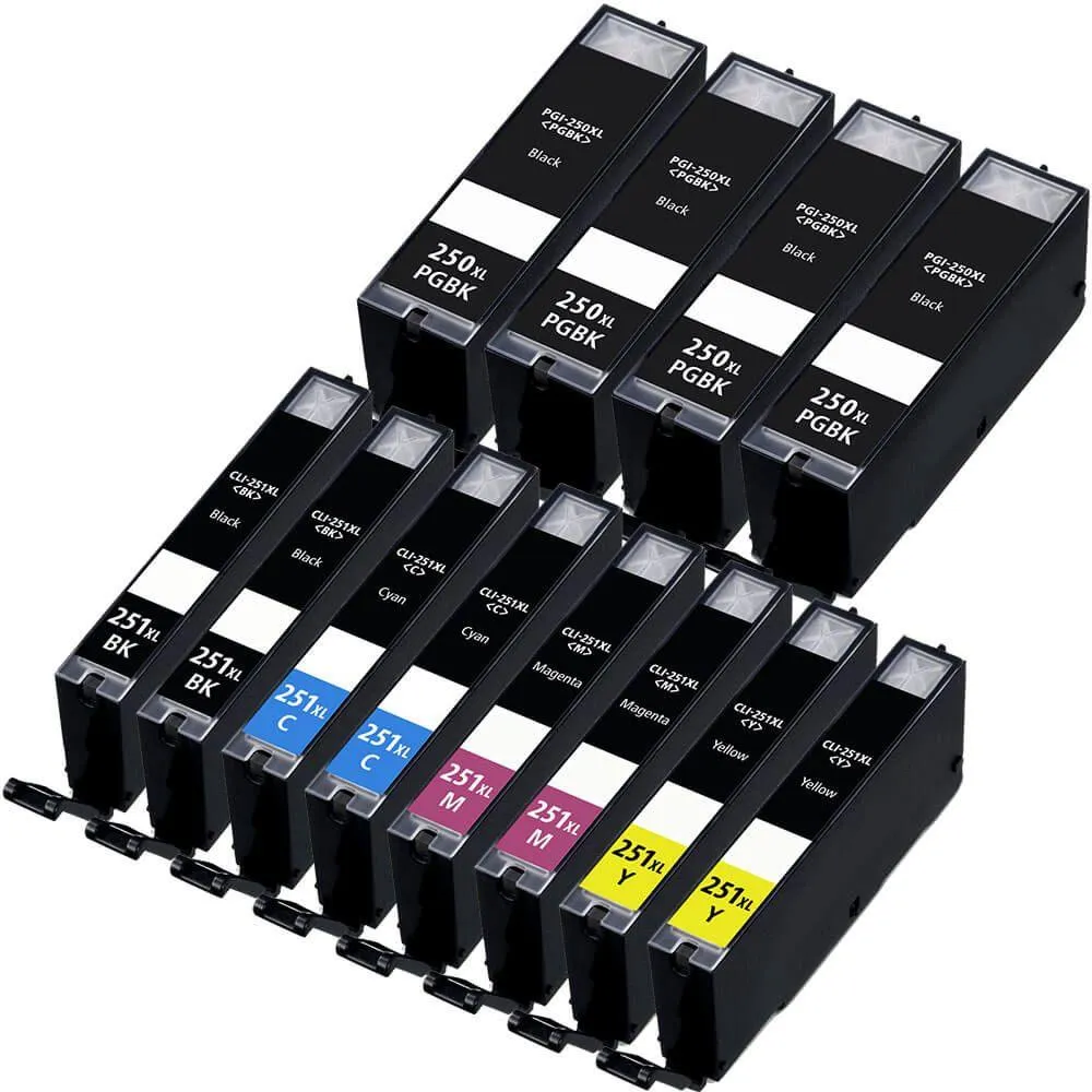 Canon PGI-250XL & CLI-251XL In Cartridges Set of 12 (4X Large Black PGI 250XL & 2X Each Color CLI 251XL) -Compatible
