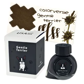 Colorverse USA Special Bottled Ink in Massachusetts (Gentle Terrior) - 15mL