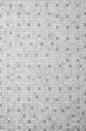 Costera Light Grey Leather Carpet