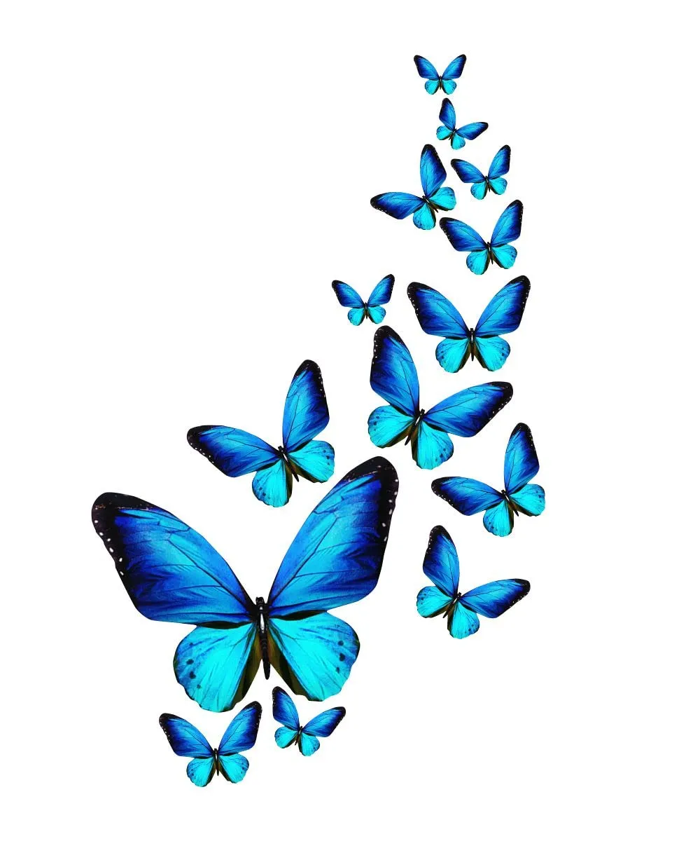 Decor Kraft Blue Butterflies Wall Sticker & Decal,Size- 45 Cm X 36 Cm,Birds