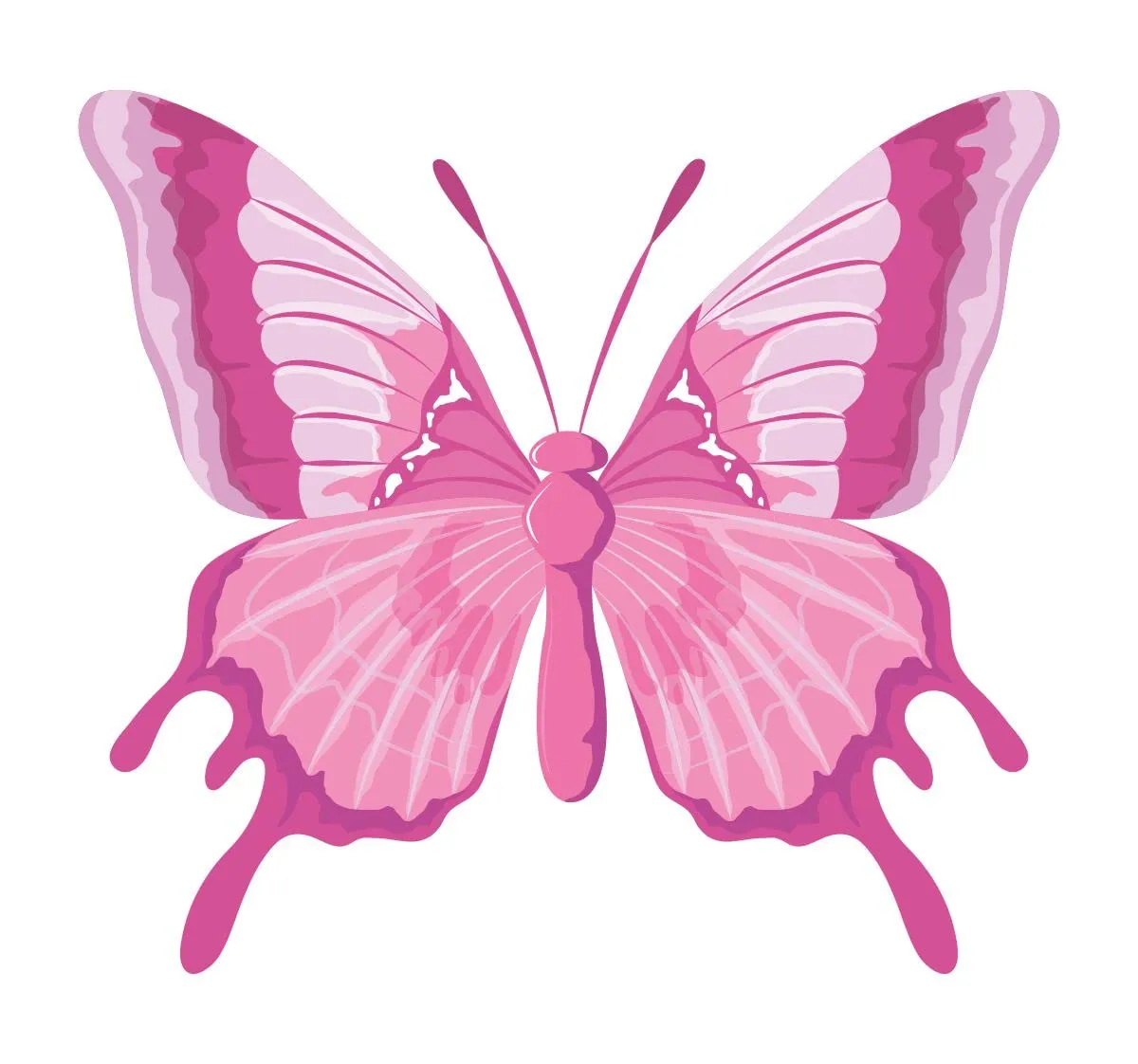 Decor Kraft Butterfly Wall Sticker & Decal,Size- 58 Cm X 42 Cm,Nature
