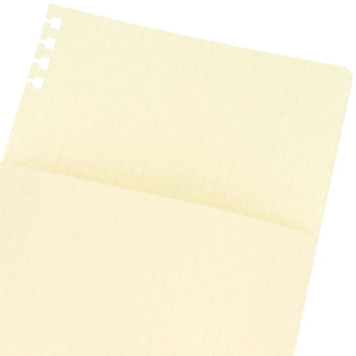 DELFONICS Rollbahn FLEXIBLE Refill Pages