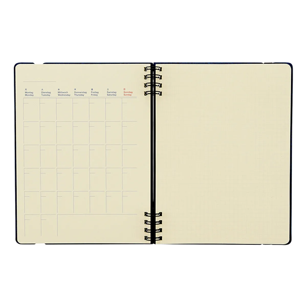 DELFONICS Rollbahn FLEXIBLE Refill Pages