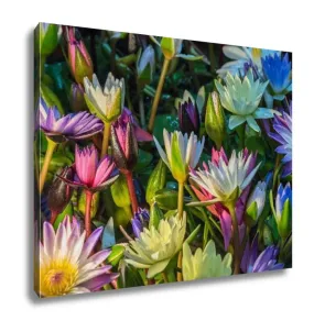 Gallery Wrapped Canvas, Lotus Flower Tropical Waterlily