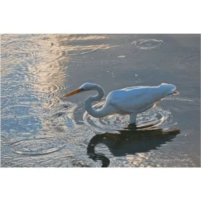 Great Egret in patterns, Photography on Canvas