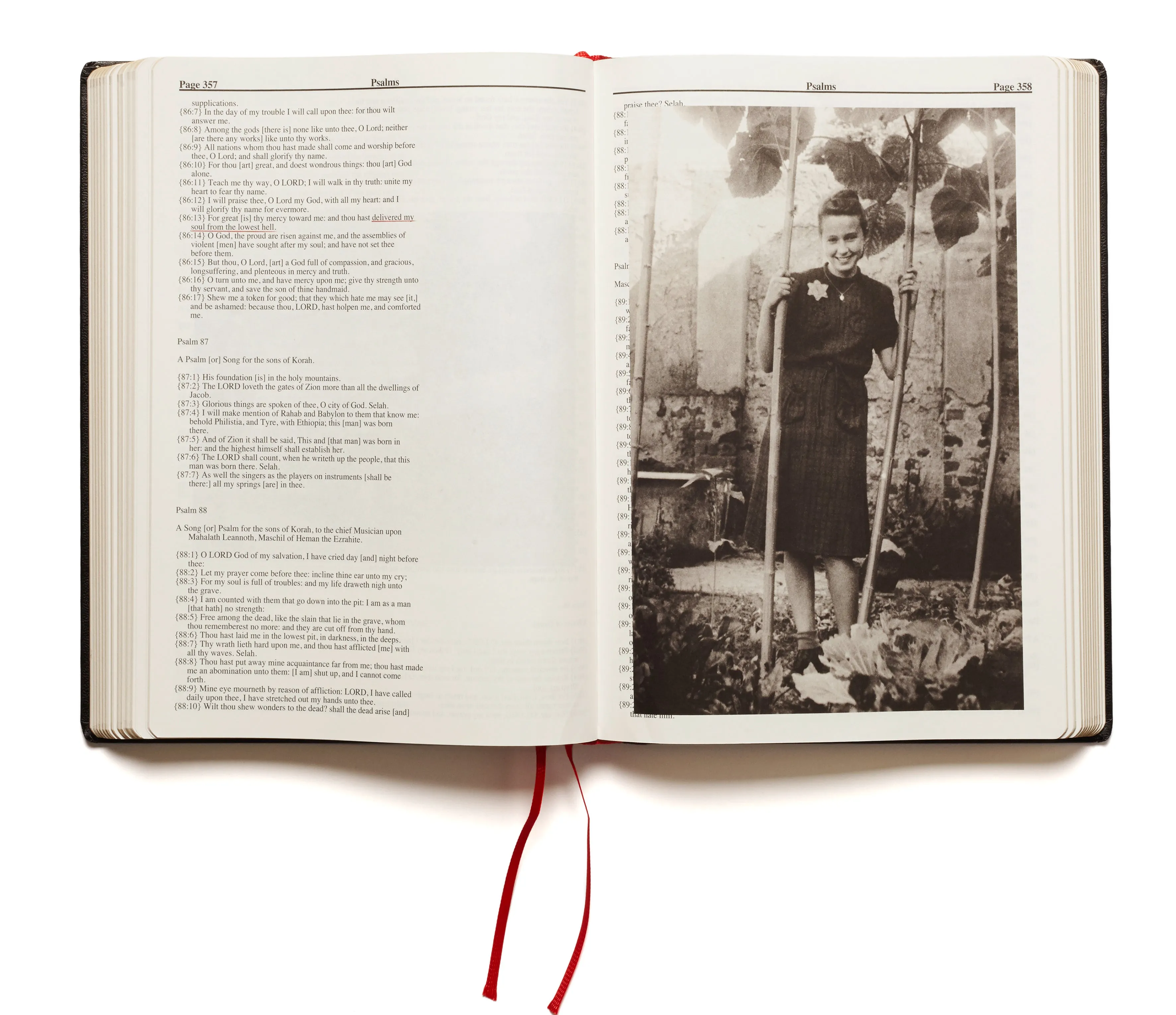 Holy Bible (First printing)