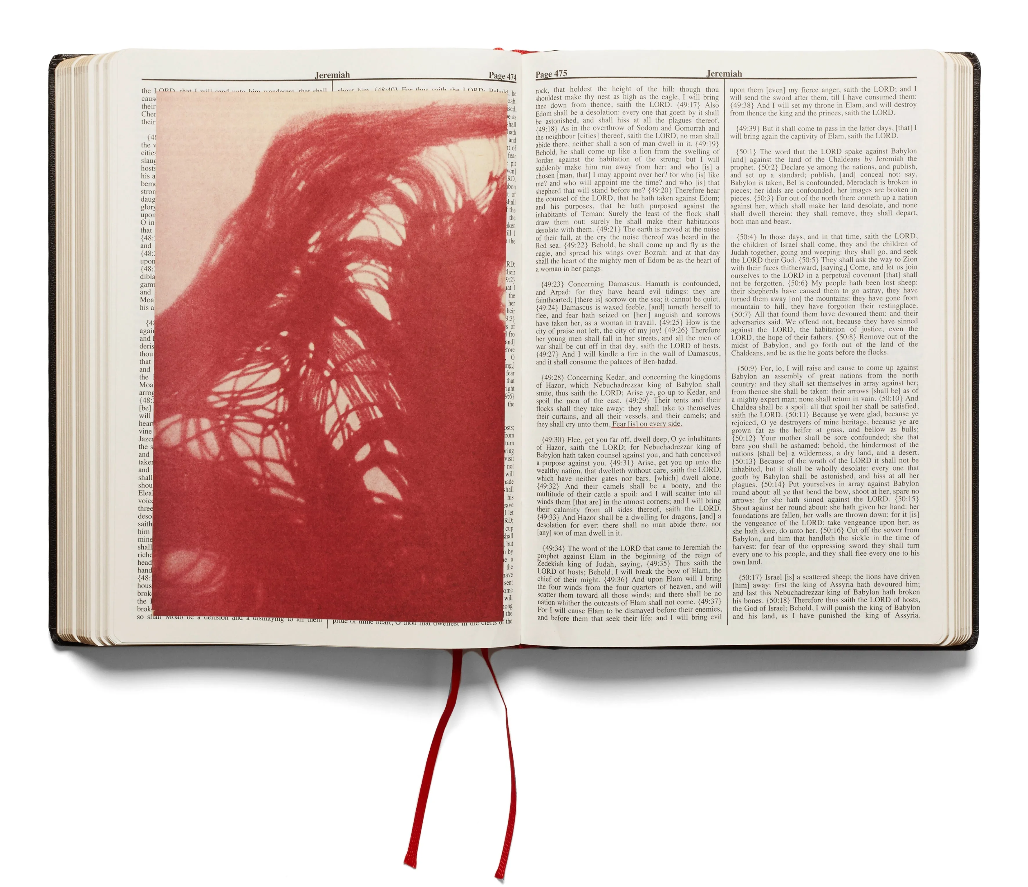 Holy Bible (Second printing)