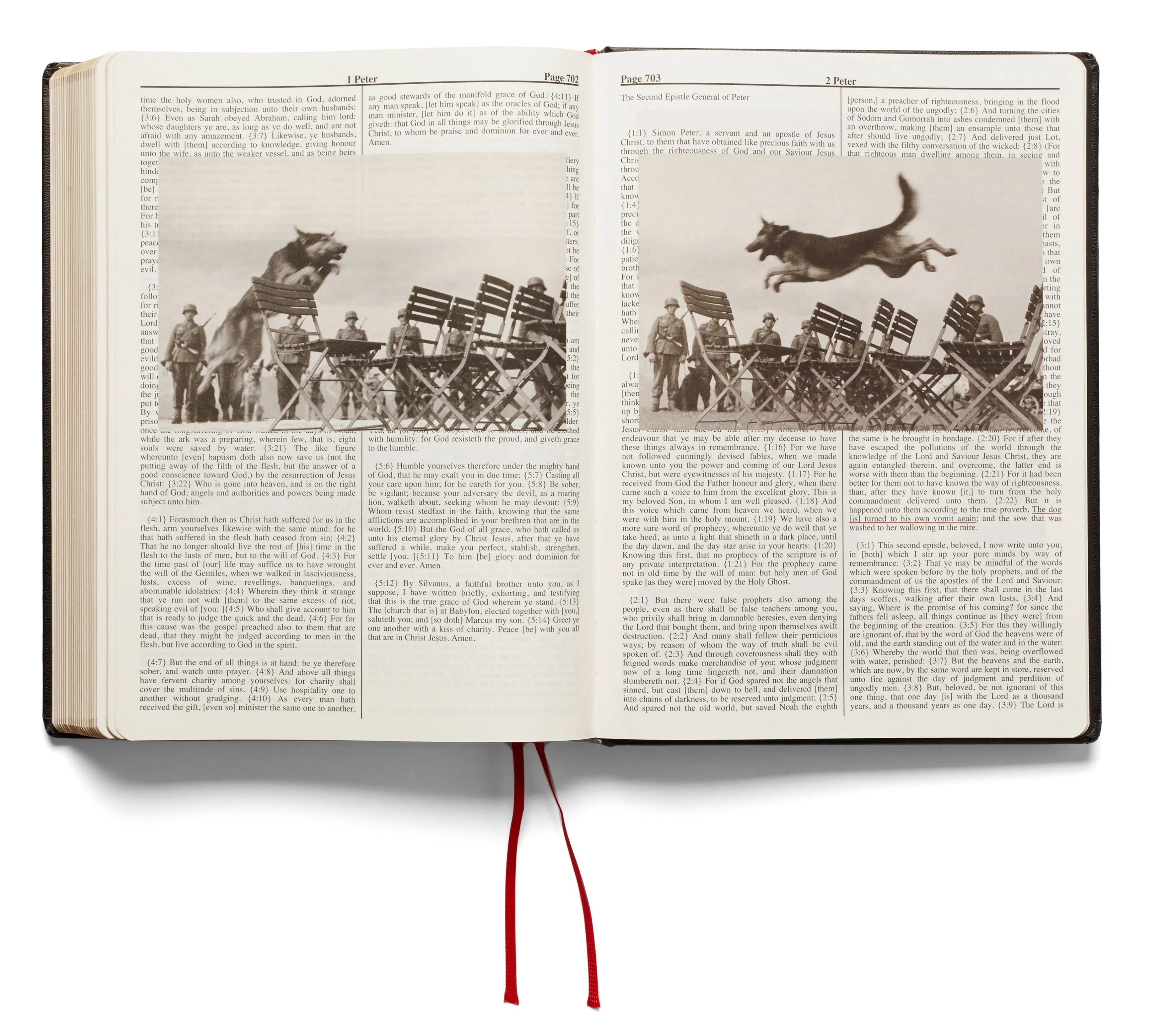 Holy Bible (Second printing)