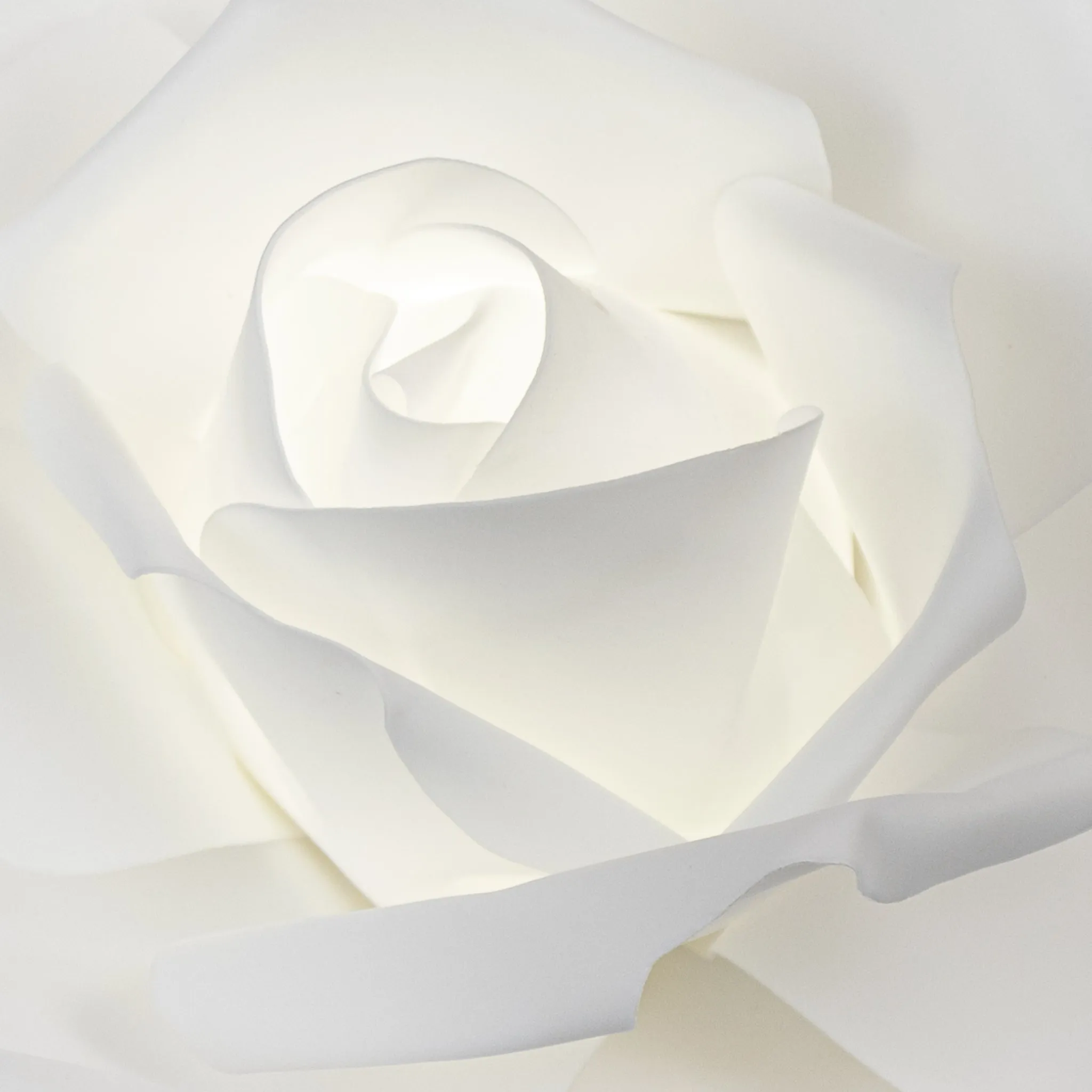 LED Lighted Large Foam Rose Wall  Decor 30 cm - White